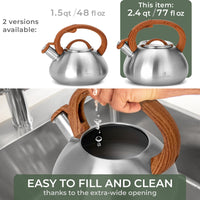 Steel Whistling Tea Kettle