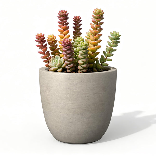Buff Concrete Round Planter