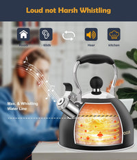 Black Steel Tea Kettle