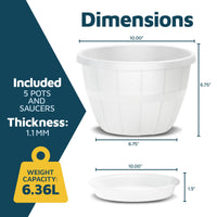 White Whiskey Barrel Planters (Set of 5)