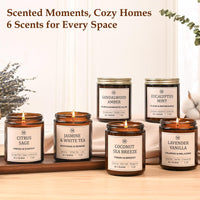 Assorted Soy Candles (Set of 6)