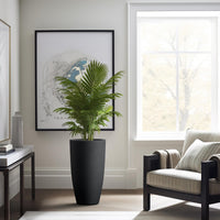 Black Concrete Planters (Set of 2)