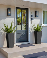 Black Rattan Planters (Set of 2)