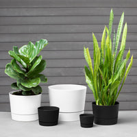 Matte Black Cylinder Planter