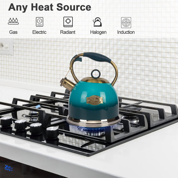Blue Whistling Tea Kettle