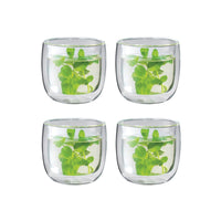Double-Wall Tea Glasses (Set of 4)