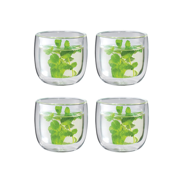 Double-Wall Tea Glasses (Set of 4)