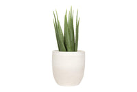 Matte White Stoneware Planter