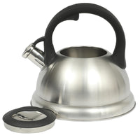 Brushed Steel Tea Kettle