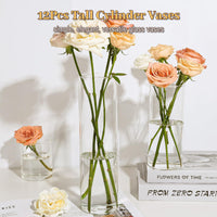 Tall Clear Cylinder Vases (Set of 12)
