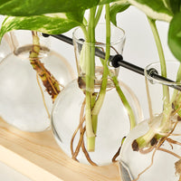 Beige Wood Propagation Stand