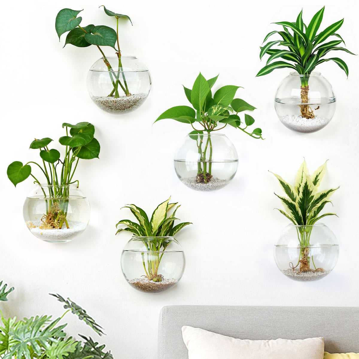 Glass Wall Propagation Vases (Set of 6)
