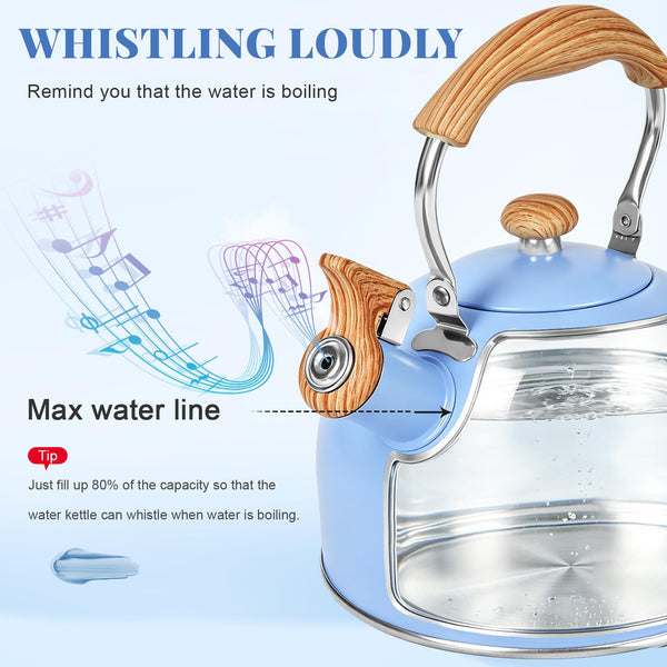 Serene Blue Tea Kettle