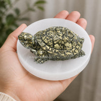 Pyrite Tortoise on Selenite Plate