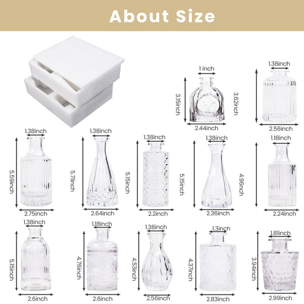 Clear Glass Bud Vases (Set of 12)