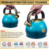 Blue Steel Tea Kettle