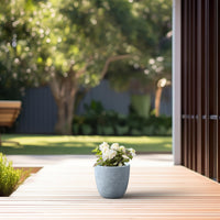 Blue-Gray Concrete Bowl Planter
