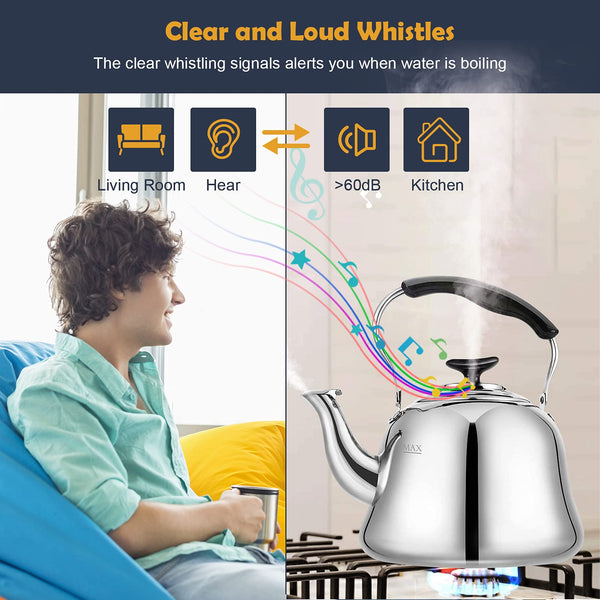 Silver Tea Kettle