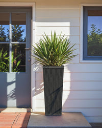 Black Rattan Planters (2) (Set of 2)