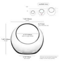 Clear Glass Globe Vase