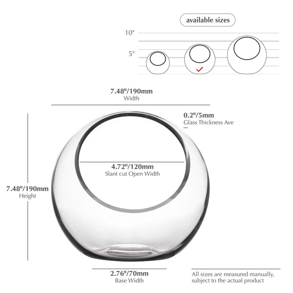 Clear Glass Globe Vase