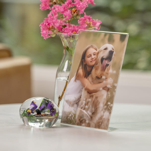 Clear Acrylic Frames (Set of 12)