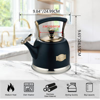 Black Stainless Steel Teapot