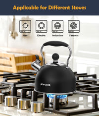 Black Steel Tea Kettle