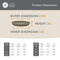 Evergreen Plant Saucers (Set of 2)