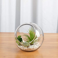 Clear Glass Globe Vase