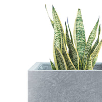 Slate Square Concrete Planter
