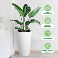 Tall White Planters (Set of 2)