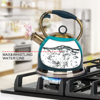 Blue Whistling Tea Kettle