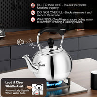 Polished Steel Tea Kettle