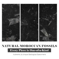 Black Fossil Stone Tray