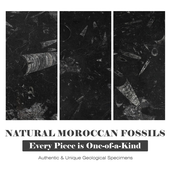 Black Fossil Stone Tray