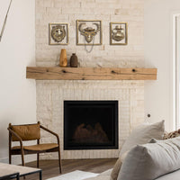 Hippo Head Wall Decor