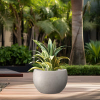 Weathered Concrete Bowl Planter