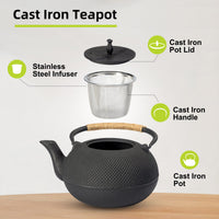 Cast Iron Tetsubin Teapot