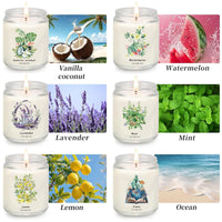 White Glass Soy Candles (Set of 6)