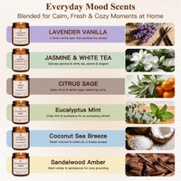 Assorted Soy Candles (Set of 6)