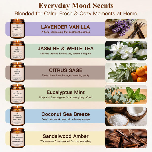 Assorted Soy Candles (Set of 6)