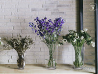 Clear Glass Hurricane Holder (Set of 3)