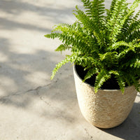 Beige Stone Round Planters (Set of 2)