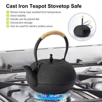 Cast Iron Tetsubin Teapot
