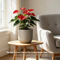 Weathered Concrete Capsule Planter