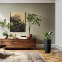 Black Concrete Planters (Set of 2)