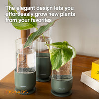 Glass Propagation Vase (Set of 3)