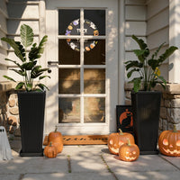 Black Square Planters (Set of 2)