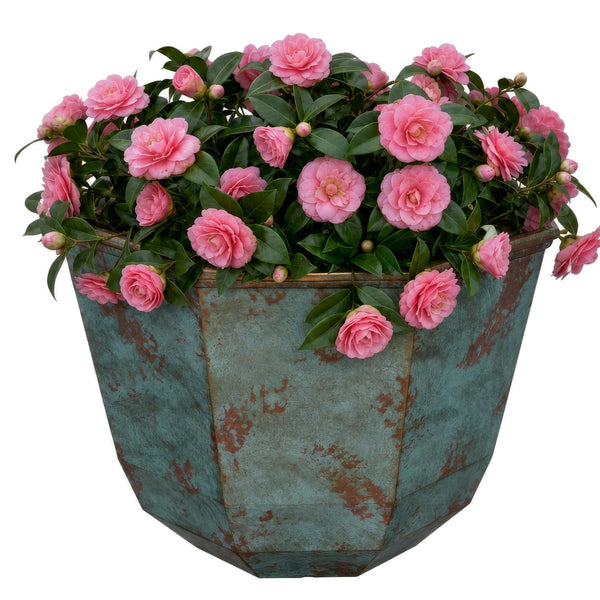 Patina Copper Resin Planter